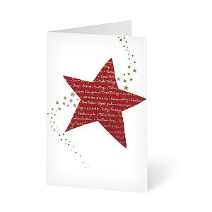 UNICEF Grusskarte Weihnachtliche Vielfalt